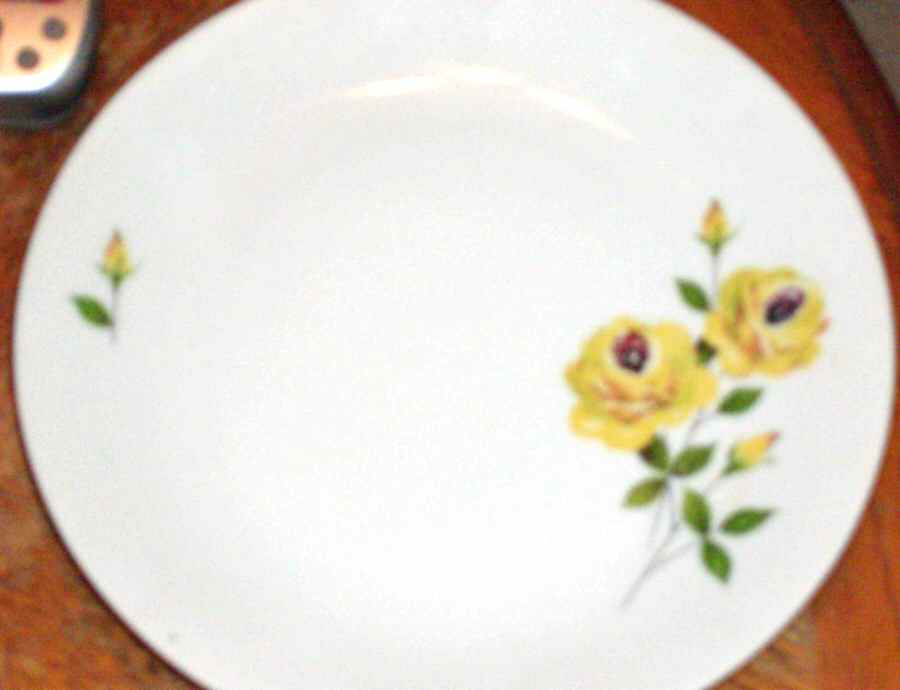 12422 Dinner Plate by Kronester-1