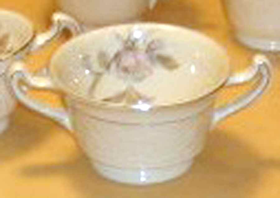 KNO1021 Open Sugar Bowl by Edwin Knowles-1