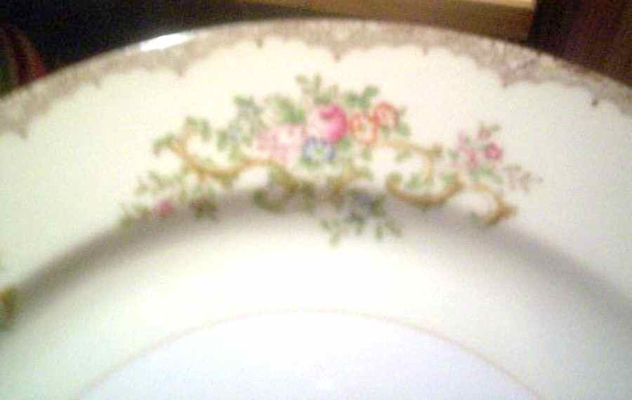 KIK66 Dinner Plate by Kikusui-1