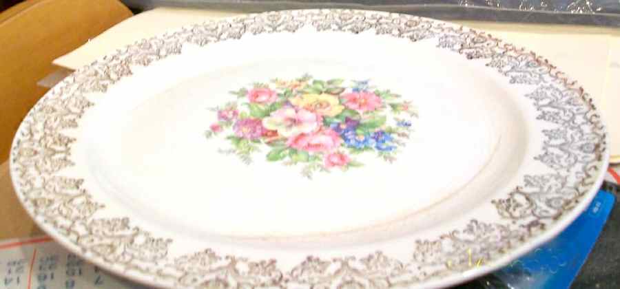 KNO1023 Dinner Plate by Edwin Knowles-1