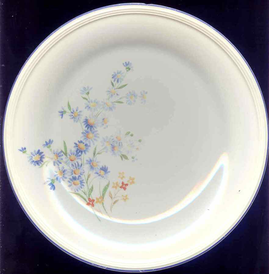 KNO1033 Dinner Plate by Edwin Knowles-1