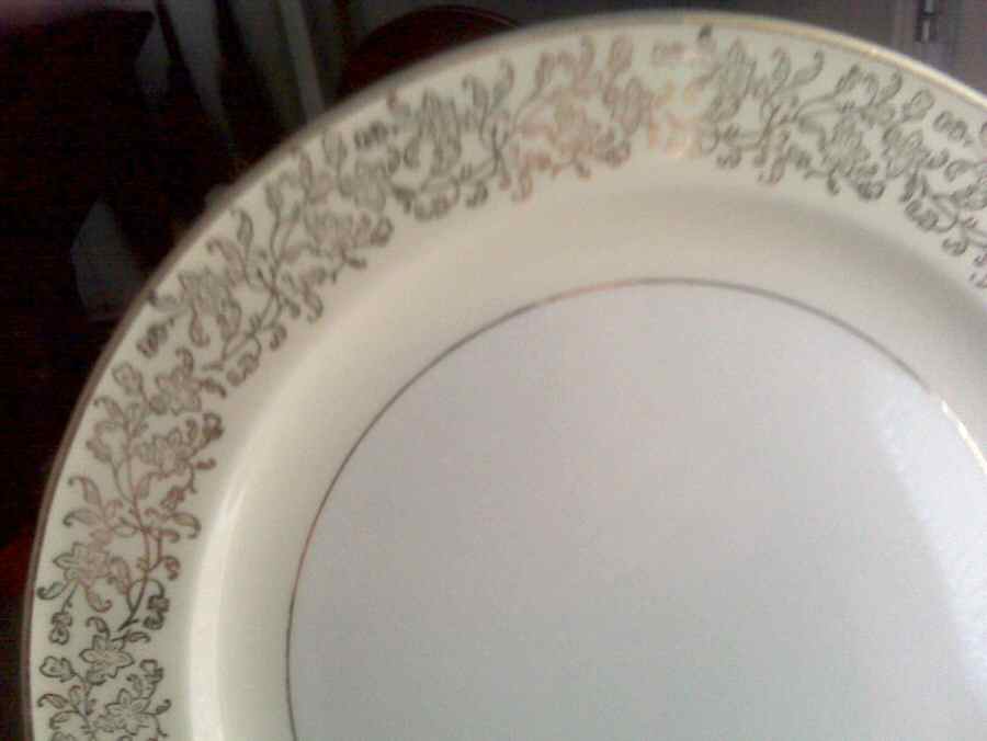 KNO1045 Dinner Plate by Edwin Knowles-1