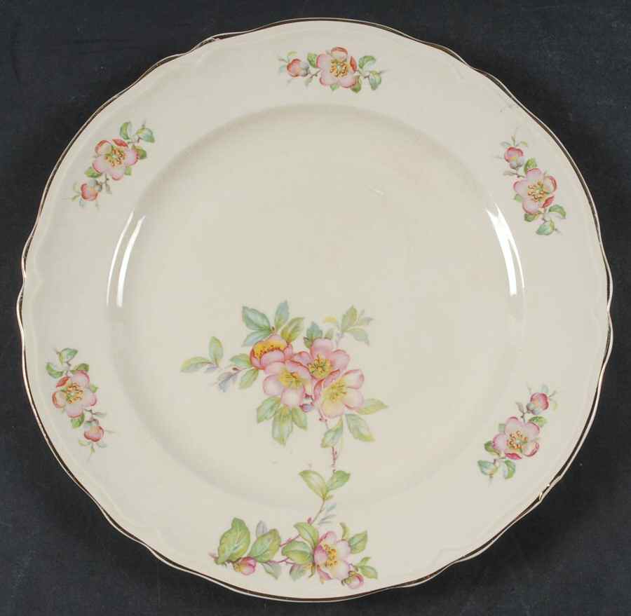 KNO1046 Dinner Plate by Edwin Knowles-1