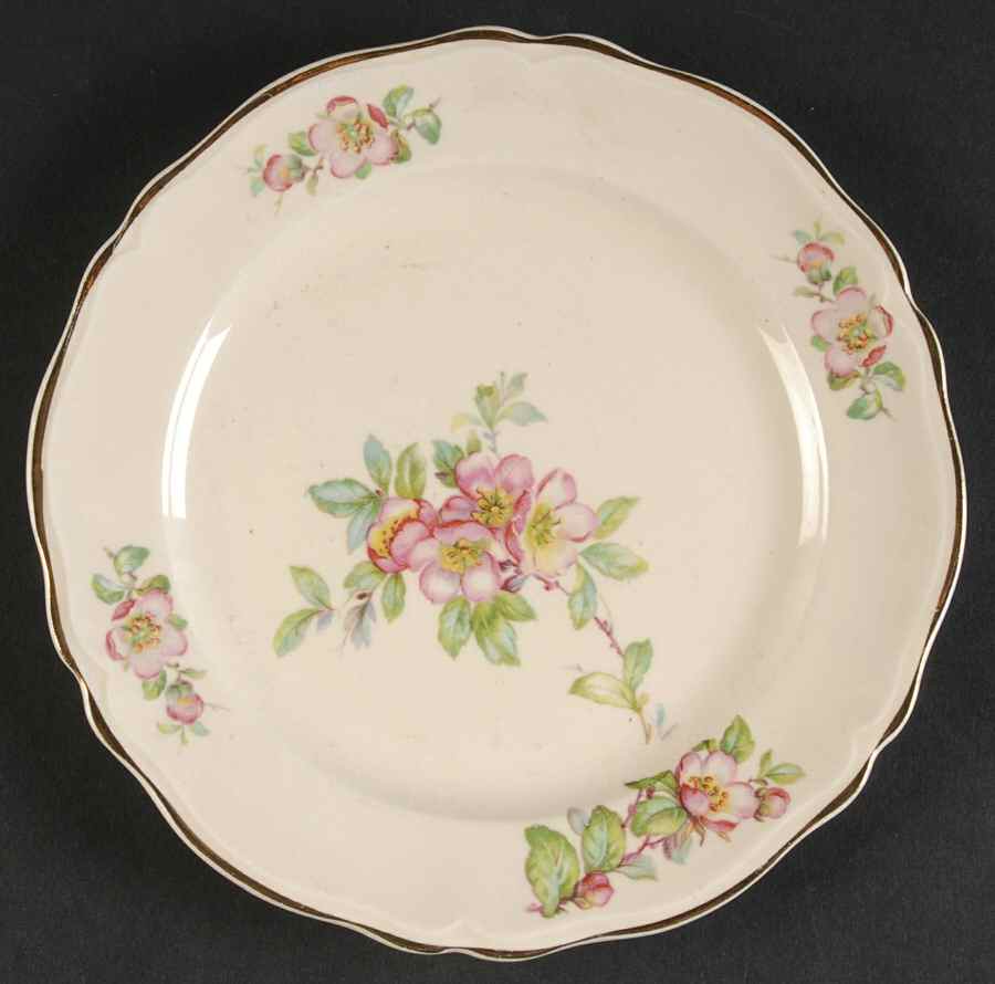 KNO1046 Bread & Butter Plate by Edwin Knowles-1