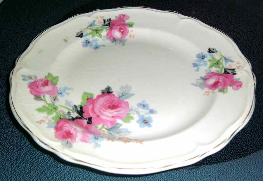 KNO1051 Dinner Plate by Edwin Knowles-1