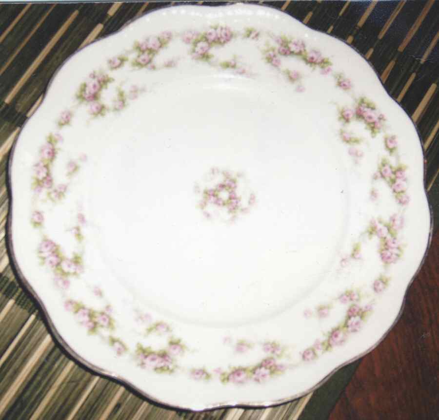 KNO1055 Dinner Plate by Edwin Knowles-1