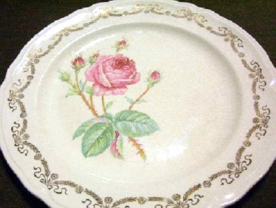 KNO1057 Dinner Plate by Edwin Knowles-1