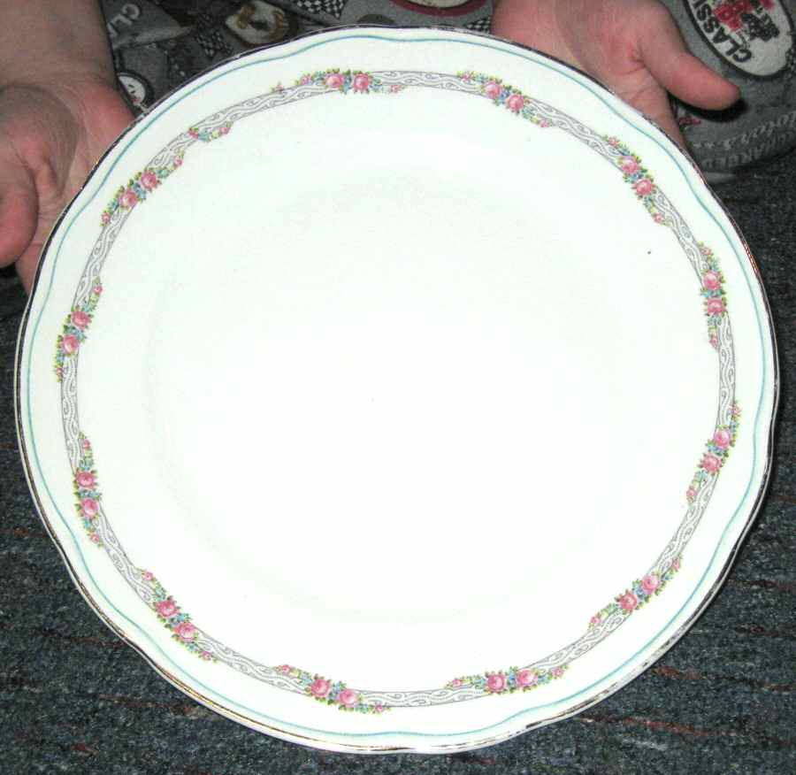 KNO1064 Dinner Plate by Edwin Knowles-1