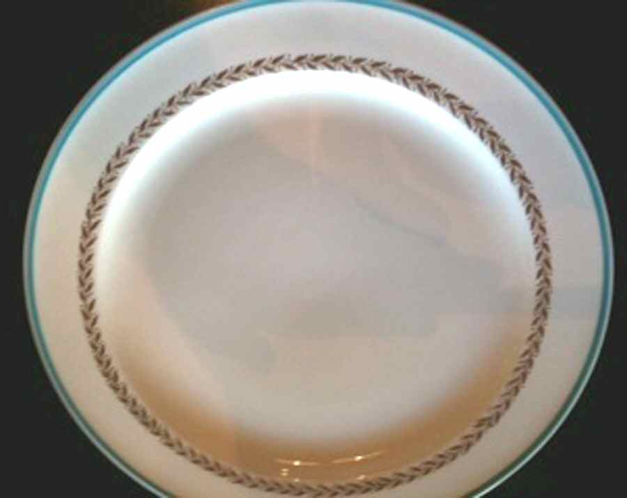 KNO1067 Dinner Plate by Edwin Knowles-1