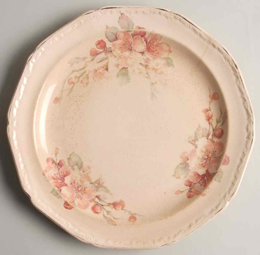 KNO1068 Dinner Plate by Edwin Knowles-1