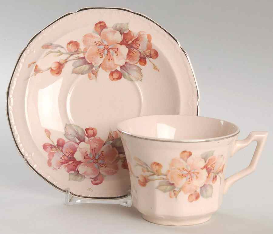 KNO1068 Flat Cup & Saucer Set by Edwin Knowles-1