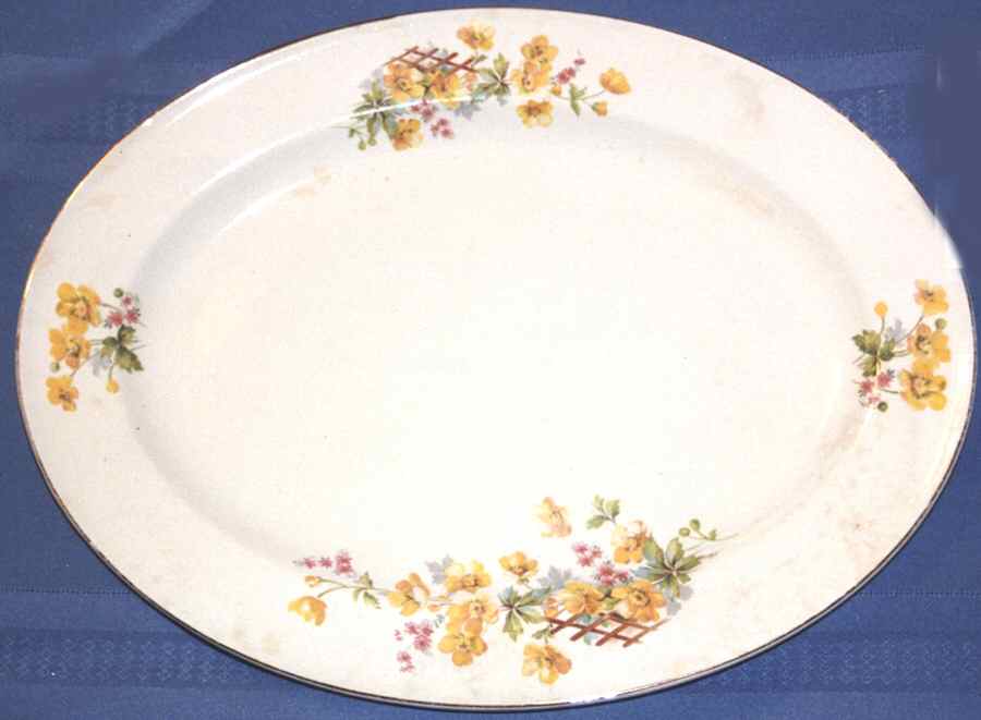 S436E1 14" Oval Serving Platter by Edwin Knowles-1