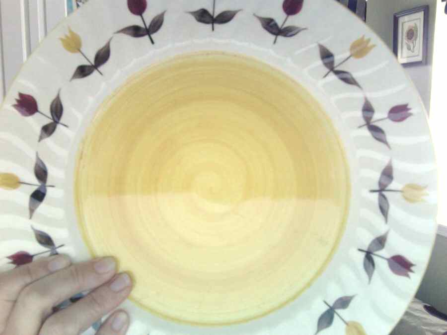 New Charm Dinner Plate by Kasuga-1