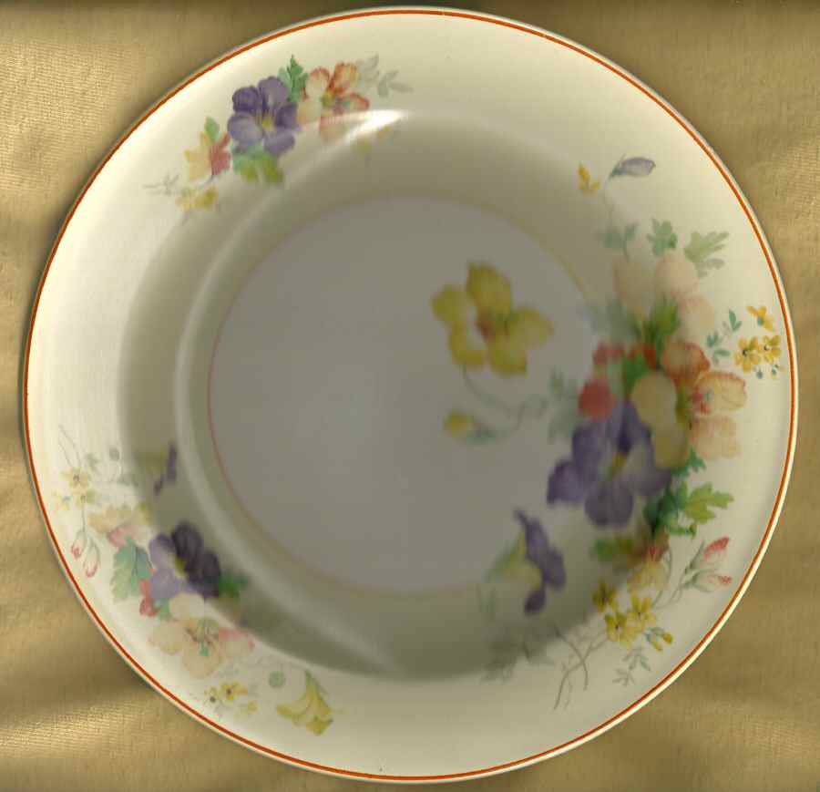 KNO1076 Dinner Plate by Edwin Knowles-1