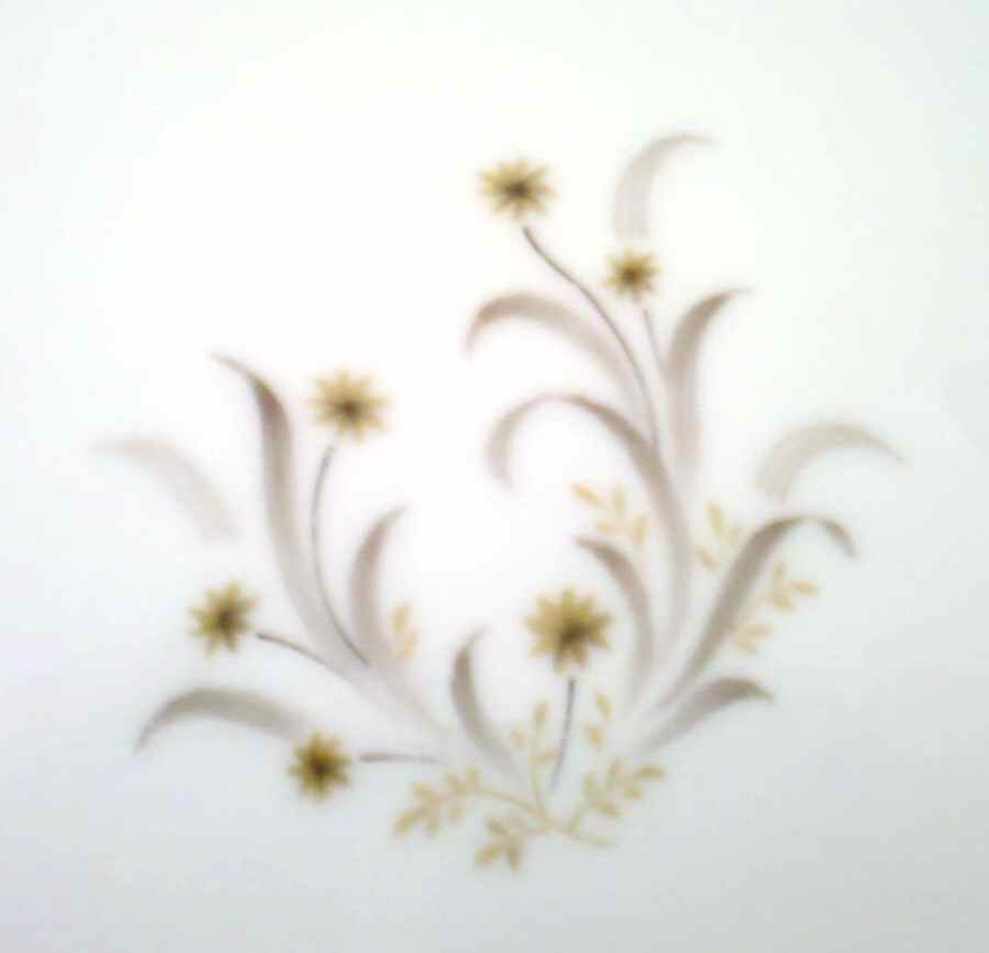 KUT311 Dinner Plate by Kutani-1