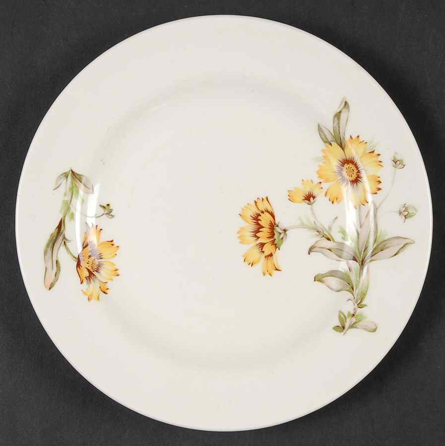 KNO1096 Bread & Butter Plate by Edwin Knowles-1