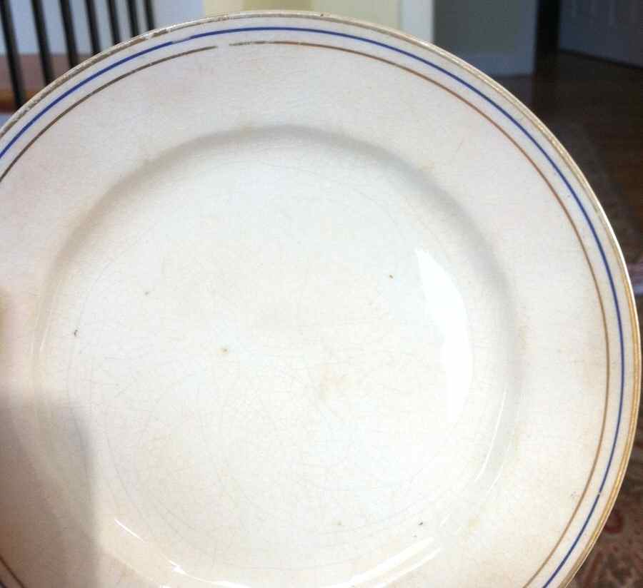KNO1097 Dinner Plate by Edwin Knowles-1