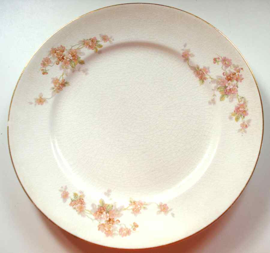 KNO1099 Dinner Plate by Edwin Knowles-1