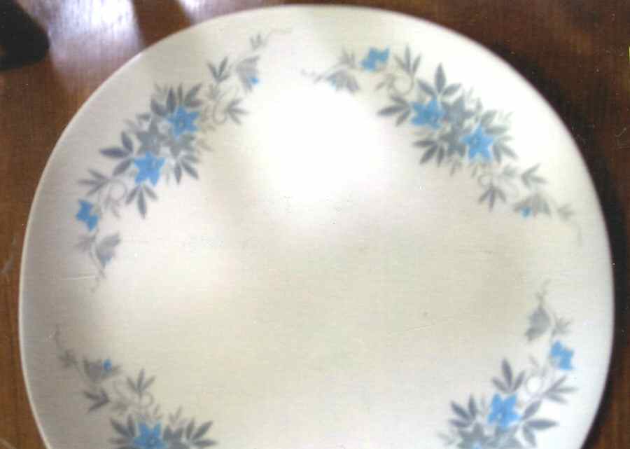 Oradell Dinner Plate by Kokura-1