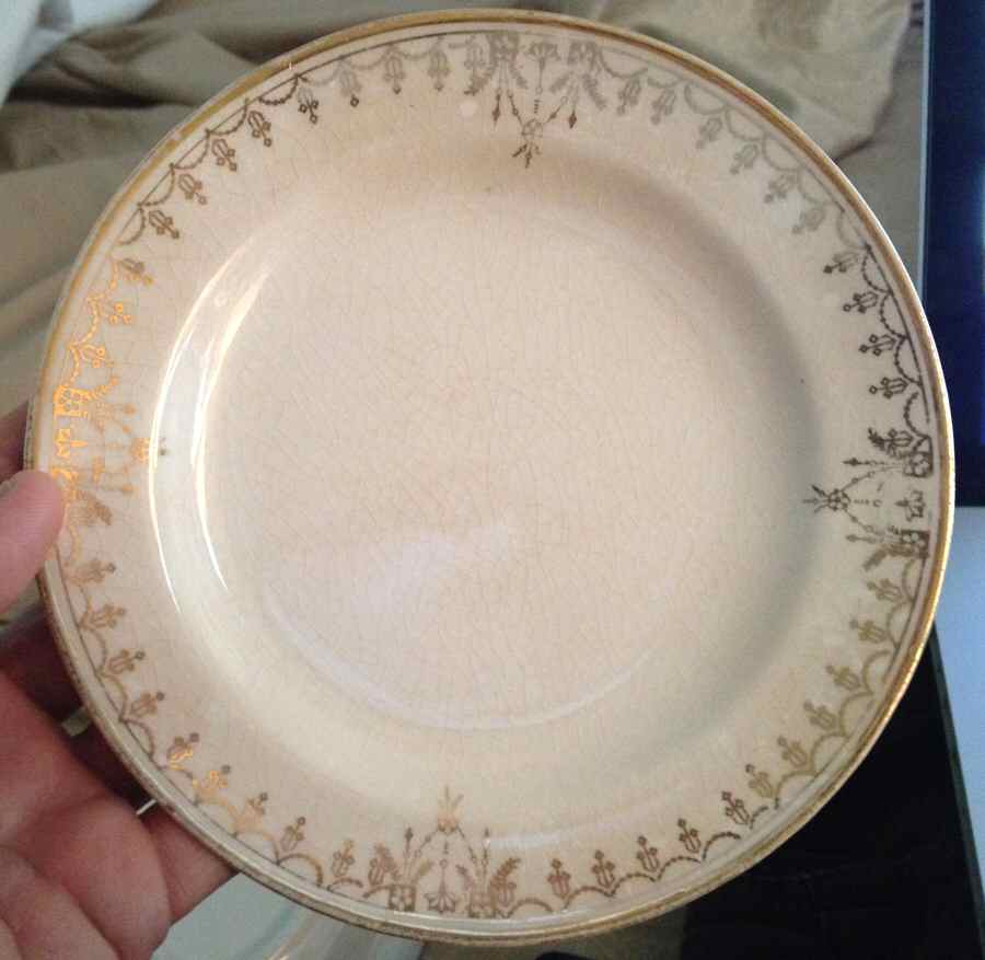 KNO1205 Dinner Plate by Edwin Knowles-1