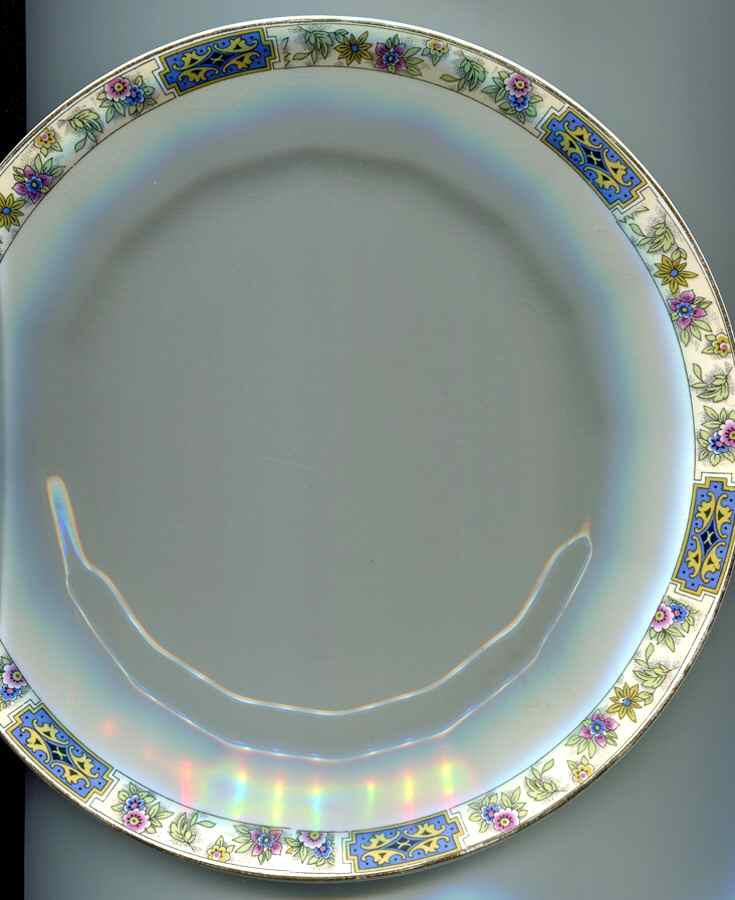 KNO1105 Dinner Plate by Edwin Knowles-1