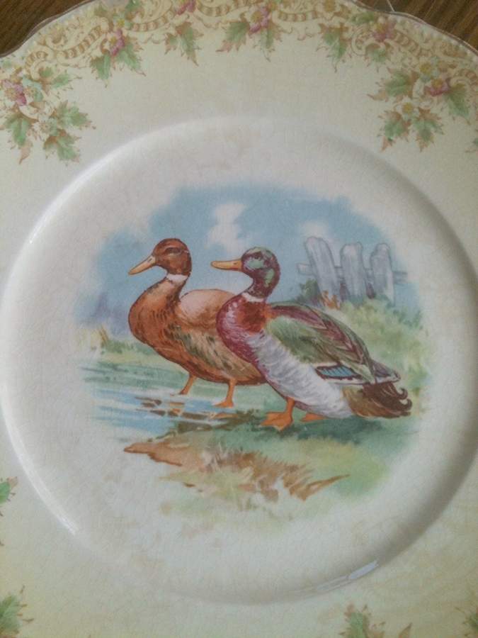 KTK195 Dinner Plate by Knowles, Taylor & Knowles-1