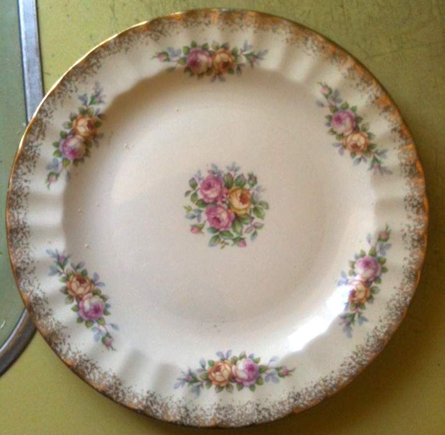 KNO1221 Dinner Plate by Edwin Knowles-1