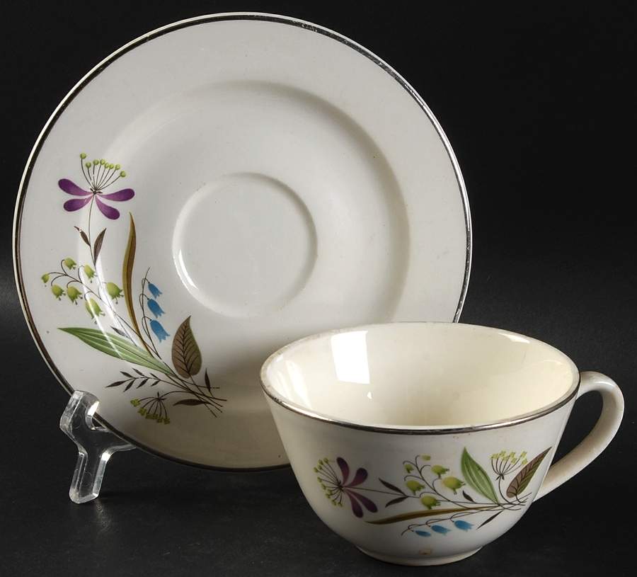 Chalet (Rim) Flat Cup & Saucer Set by Edwin Knowles-1