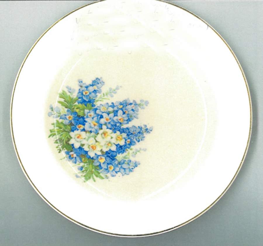 KNO1116 Salad Plate by Edwin Knowles-1