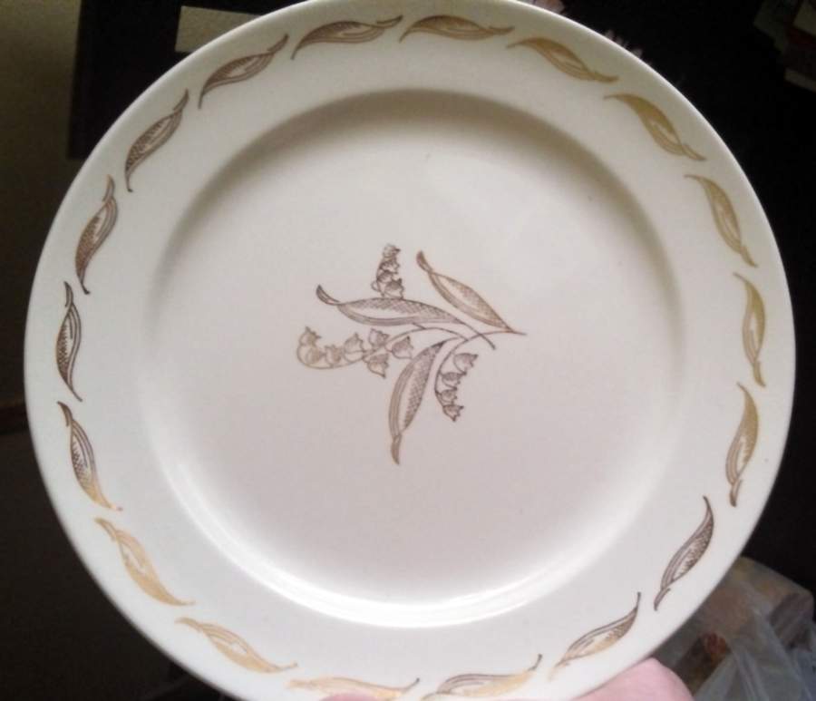 KNO1230 Dinner Plate by Edwin Knowles-1