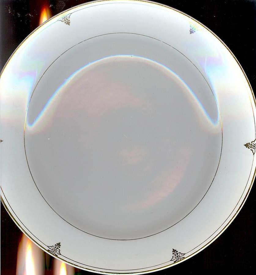 KNO1121 Dinner Plate by Edwin Knowles-1