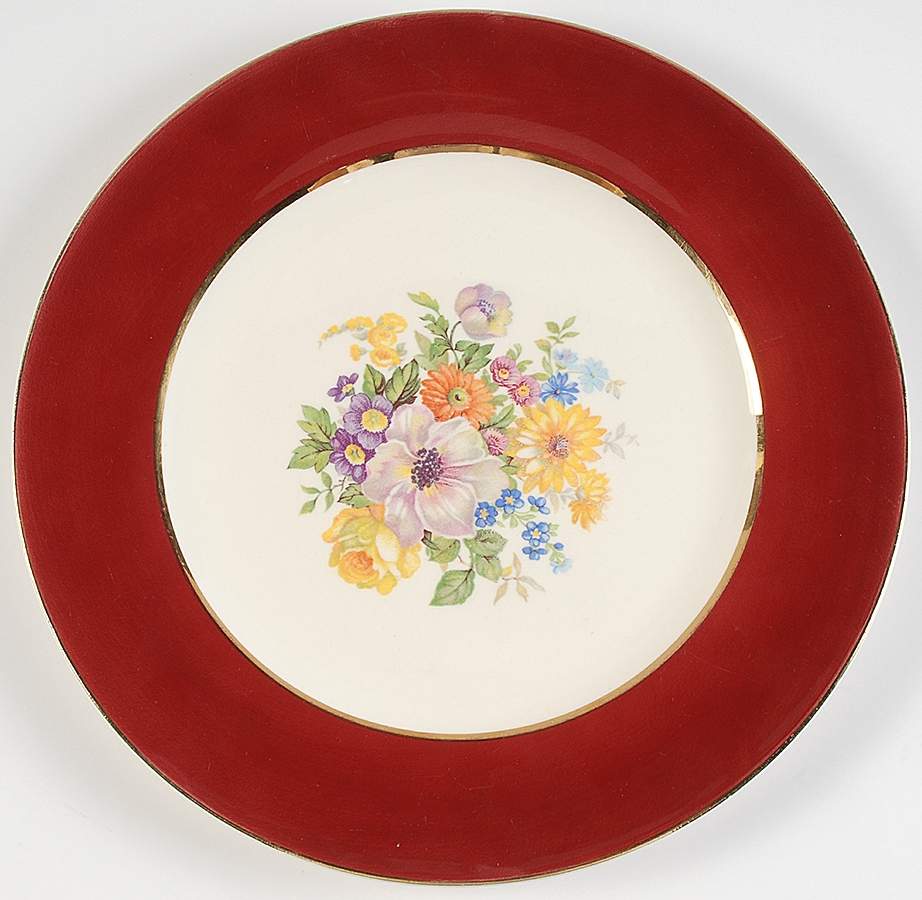 KNO1237 Dinner Plate by Edwin Knowles-1