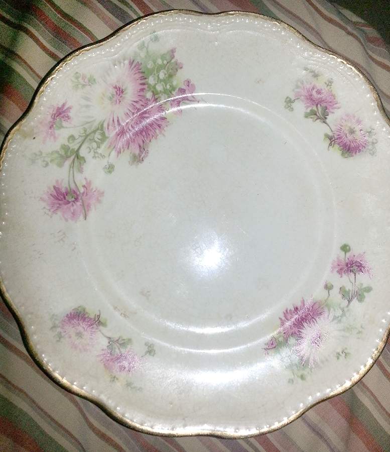 8421-P Dinner Plate by Edwin Knowles-1