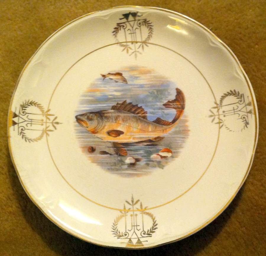 KNO1122 Dinner Plate by Edwin Knowles-1