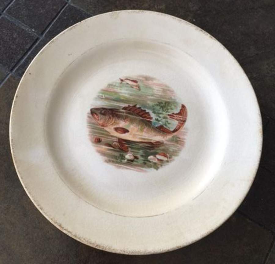 KNO1122 Dinner Plate by Edwin Knowles-1