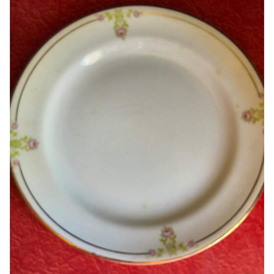 KNO1123 Salad Plate by Edwin Knowles-1