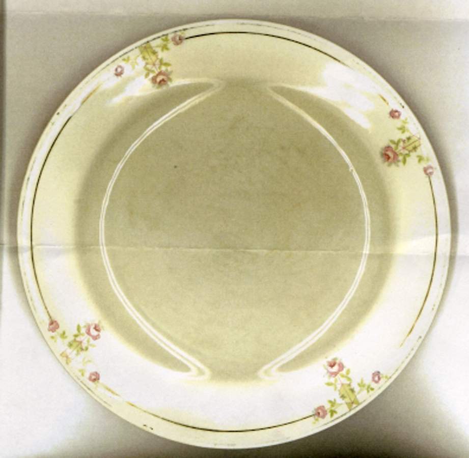 KNO1123 Dinner Plate by Edwin Knowles-1