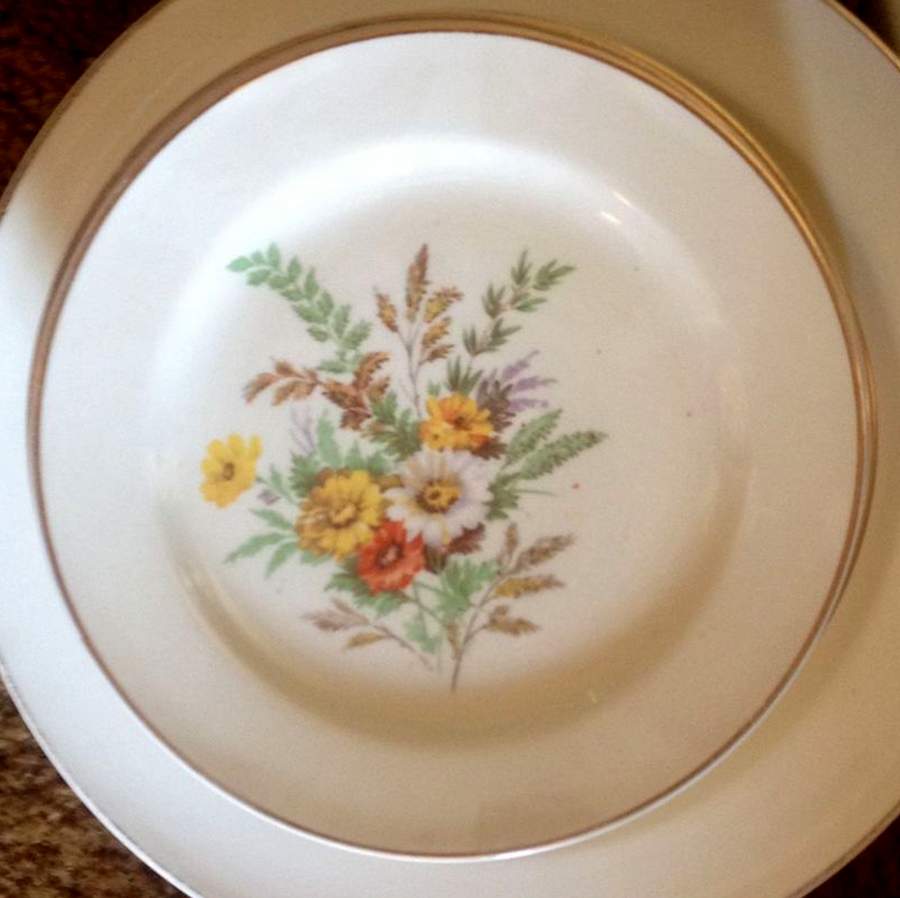 KNO1247 Salad Plate by Edwin Knowles-1