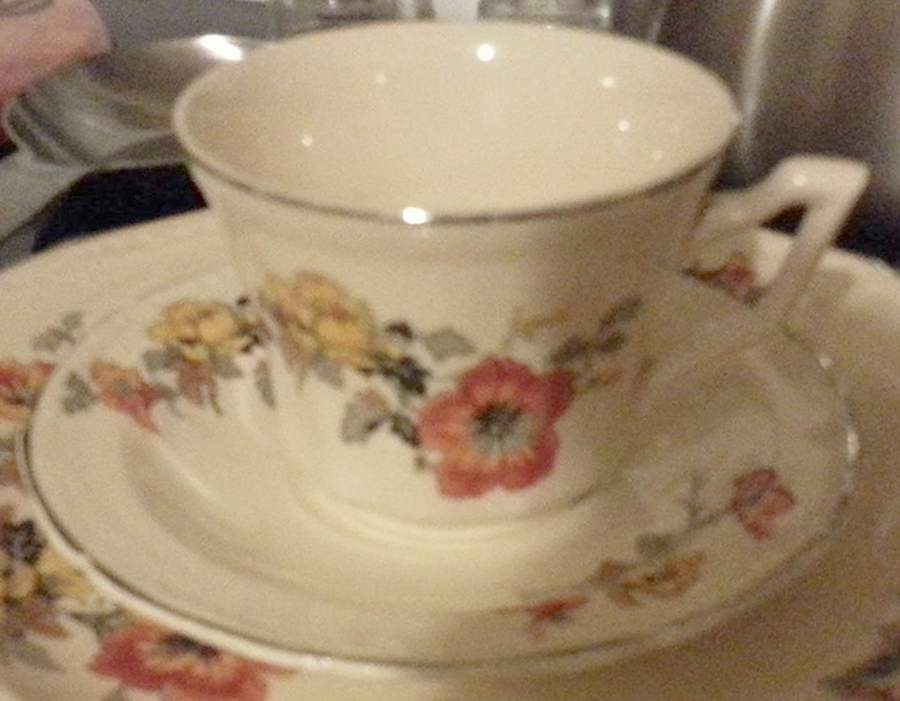 157E11 Footed Cup & Saucer Set by Edwin Knowles-1