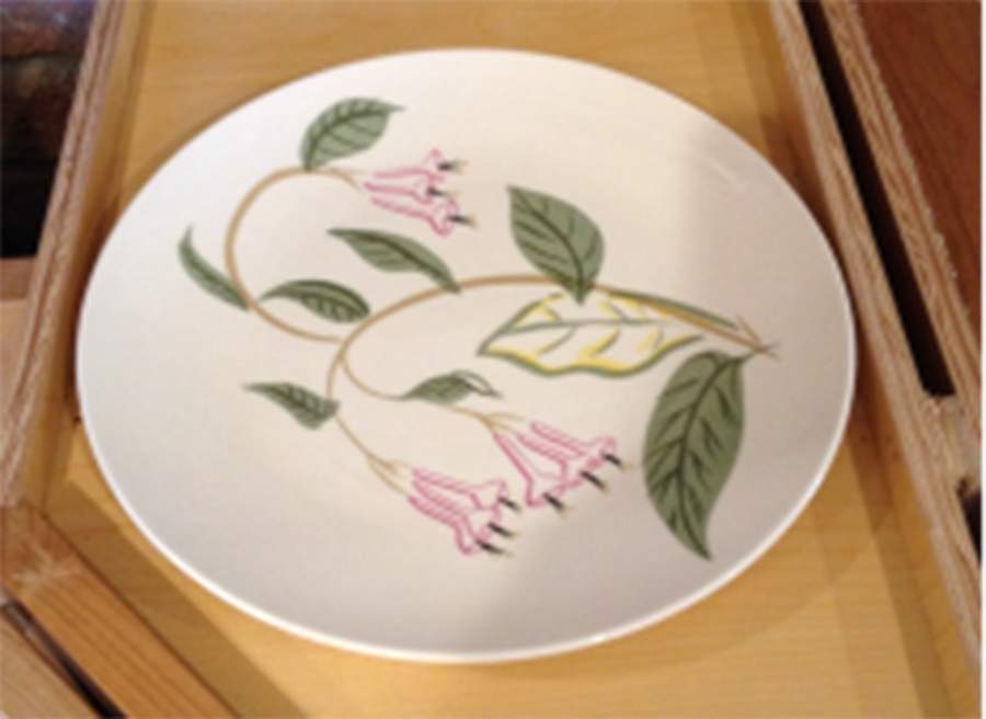 Trumpetvine Dinner Plate by Edwin Knowles-1