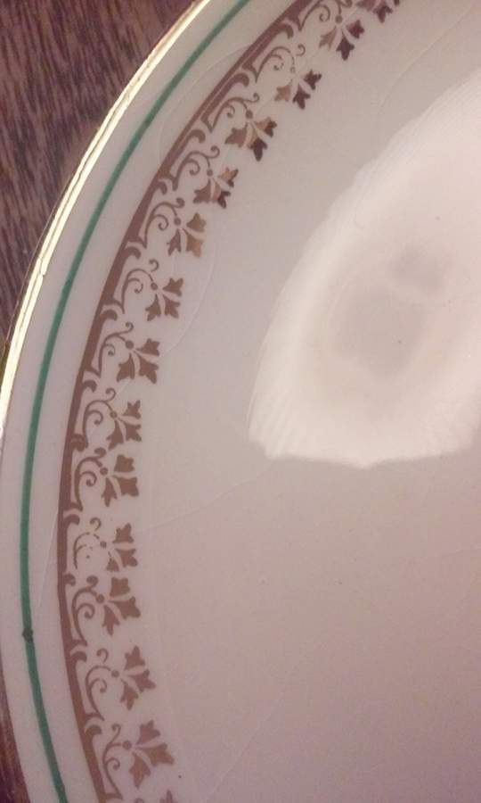 KNO1270 Dinner Plate by Edwin Knowles-1