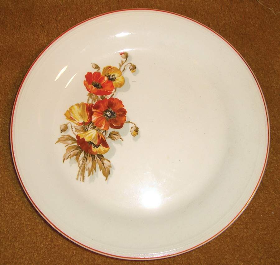1753E10 Dinner Plate by Edwin Knowles-1