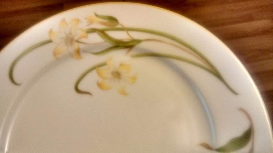 804 Dinner Plate by Kimco-1