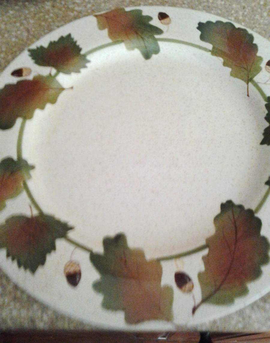 KIH31 Dinner Plate by KIC (China)-1