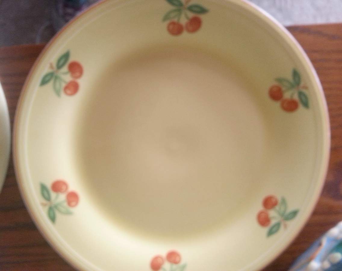 1850E15 Dinner Plate by Edwin Knowles-1