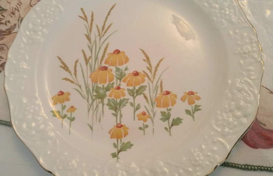 KNO1282 Dinner Plate by Edwin Knowles-1