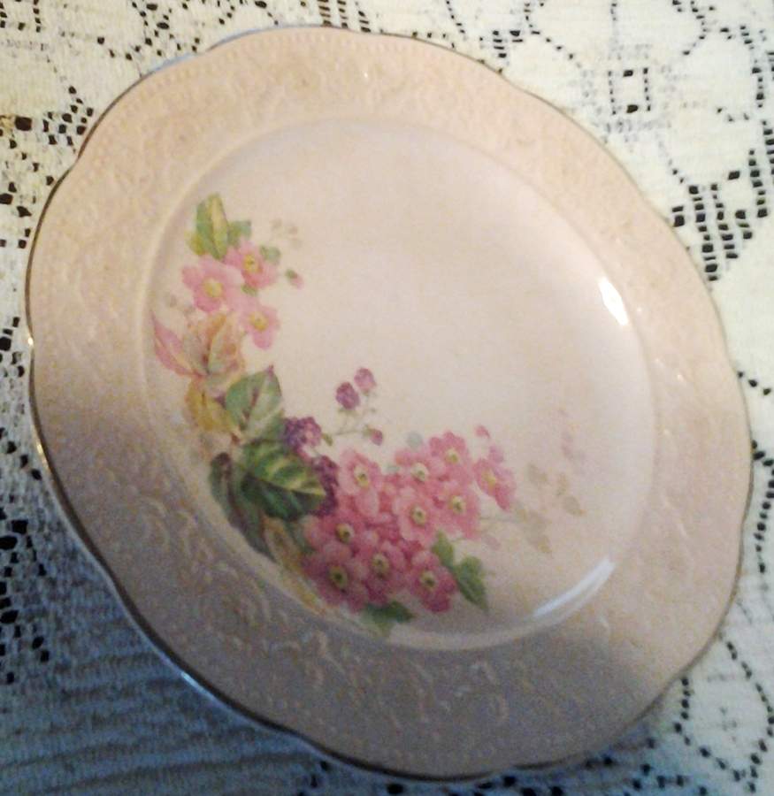 KNO1286 Dinner Plate by Edwin Knowles-1