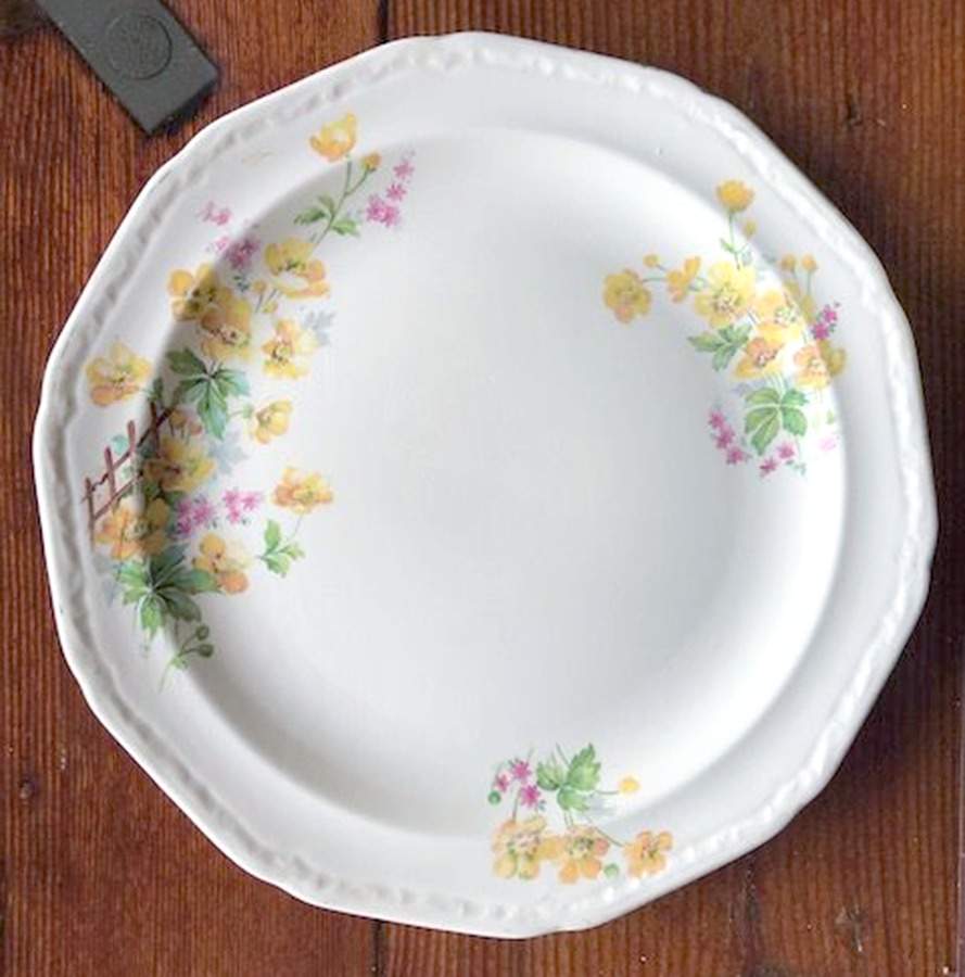 KNO1137 Dinner Plate by Edwin Knowles-1