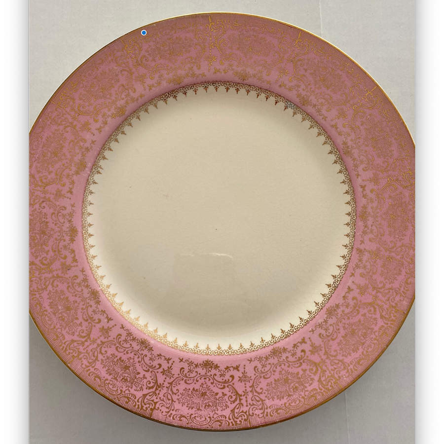 KNO1324 Dinner Plate by Edwin Knowles-1