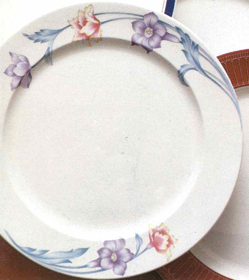 Arlington Hills Dinner Plate by Lenox-1
